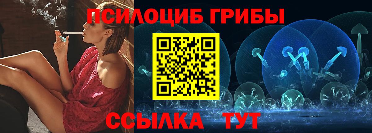 Галлюциногенные грибы Psilocybine cubensis  Вход с VPN  Ступино 